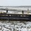 new-holland-2324-image-2