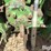 1959-john-deere-730-image-17
