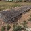 hog-panels-image-2