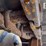 2007-deere-700j-lgp-image-40