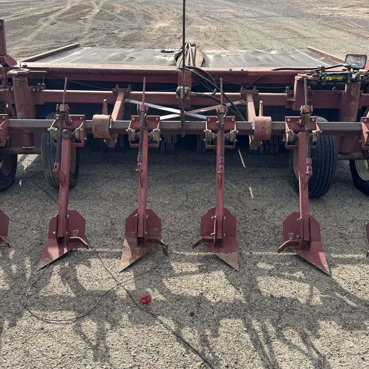 Parma 6 Row Beet Topper - Prosser, WA