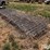 hog-panels-image-1