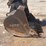 2019-komatsu-pc138us-11-image-41