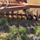 krause-611-image-13
