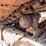 2021-caterpillar-d5-lgp-image-12