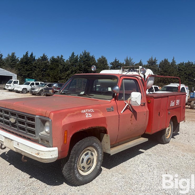 1979 CHEVROLET CUSTOM DELUXE 20