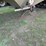 cornhusker-hopper-image-8