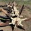 ag-engineering-dammer-diker-image-8