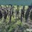 john-deere-400-image-14