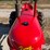 1948-massey-harris-pony-11-image-15