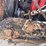 #4013-•-2000-quad-axle-mack-dump-truck-(has-wi-title)-image-128
