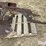 international-311-image-10