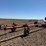 custom-92'-sprayer---ritzville,-wa-image-5