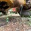 volvo-l120c-image-17