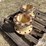 john-deere-10-image-5