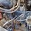 2019-western-star-4700-image-41