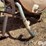 wylie-200-image-14