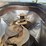 supreme-1200t-feed-mixer---othello,-wa-image-54