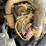 caterpillar-255-image-41