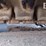 2021-bobcat-e35i-image-34