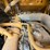 caterpillar-242d3-image-36