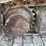 caterpillar-312e-image-88
