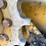caterpillar-255-image-62