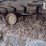 takeuchi-tb290-image-15