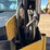 caterpillar-259d3-image-40