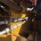caterpillar-242d3-image-20