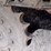 2016-case-850m-image-26
