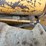 caterpillar-d4h-lgp-image-35