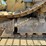 caterpillar-d4h-lgp-image-66