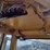 2006-caterpillar-d5n-xl-image-13