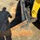 caterpillar-259d3-image-9