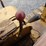 dresser-td8e-image-36