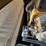caterpillar-d4g-lgp-image-42