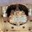 ingersoll-rand-sd70f-image-24