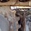 2020-komatsu-pc55mr-5-image-33