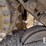 2006-caterpillar-d5n-xl-image-16