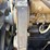 ingersoll-rand-sd70f-image-55