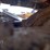 2021-bobcat-e35i-image-21