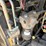 caterpillar-255-image-35