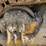 2014-komatsu-d51pxi-image-76