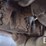 2022-deere-35g-image-35