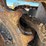 caterpillar-336fl-image-110