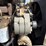 ingersoll-rand-sd70f-image-38
