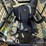 caterpillar-242d3-image-44