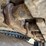 caterpillar-336fl-image-111
