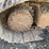 2018-komatsu-pc238us-lc-11-image-10